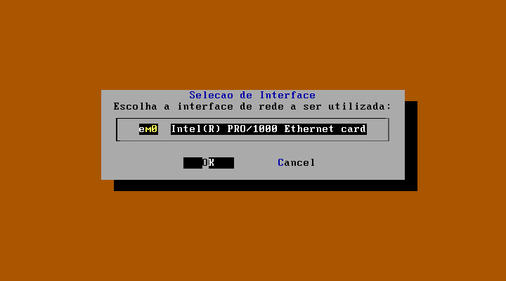 Brbos-manual-install-iface.png